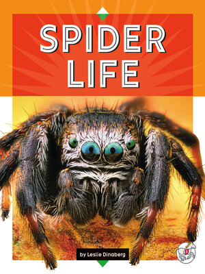 cover image of Spider Life